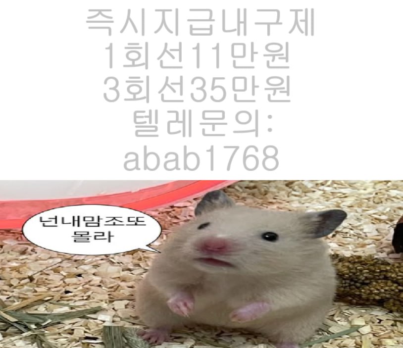 ㅌ레그램 : @abab1768 내구제당일정산 곰돌이통신 10만원개인돈 10만원급전빌리기 10만원소액급전대출문의 당일대출 10만원즉시대출 긴급재난일상회복생계안정자금 